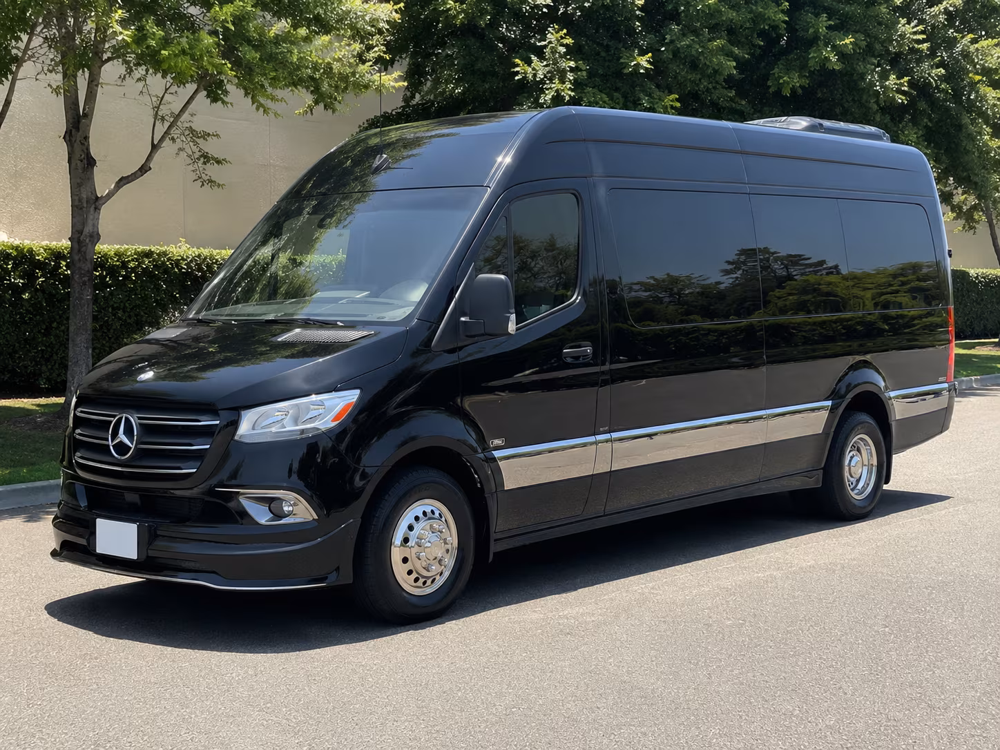 10 passenger sprinter van