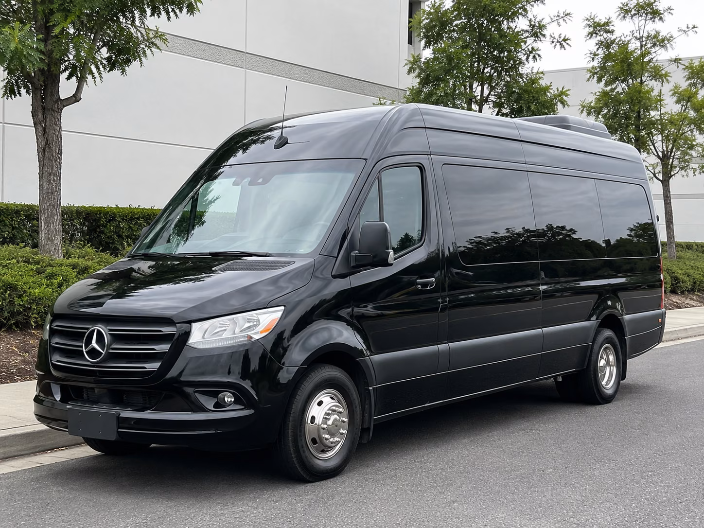 bachelor and bachelorette party sprinter van rentals in pearland texas
