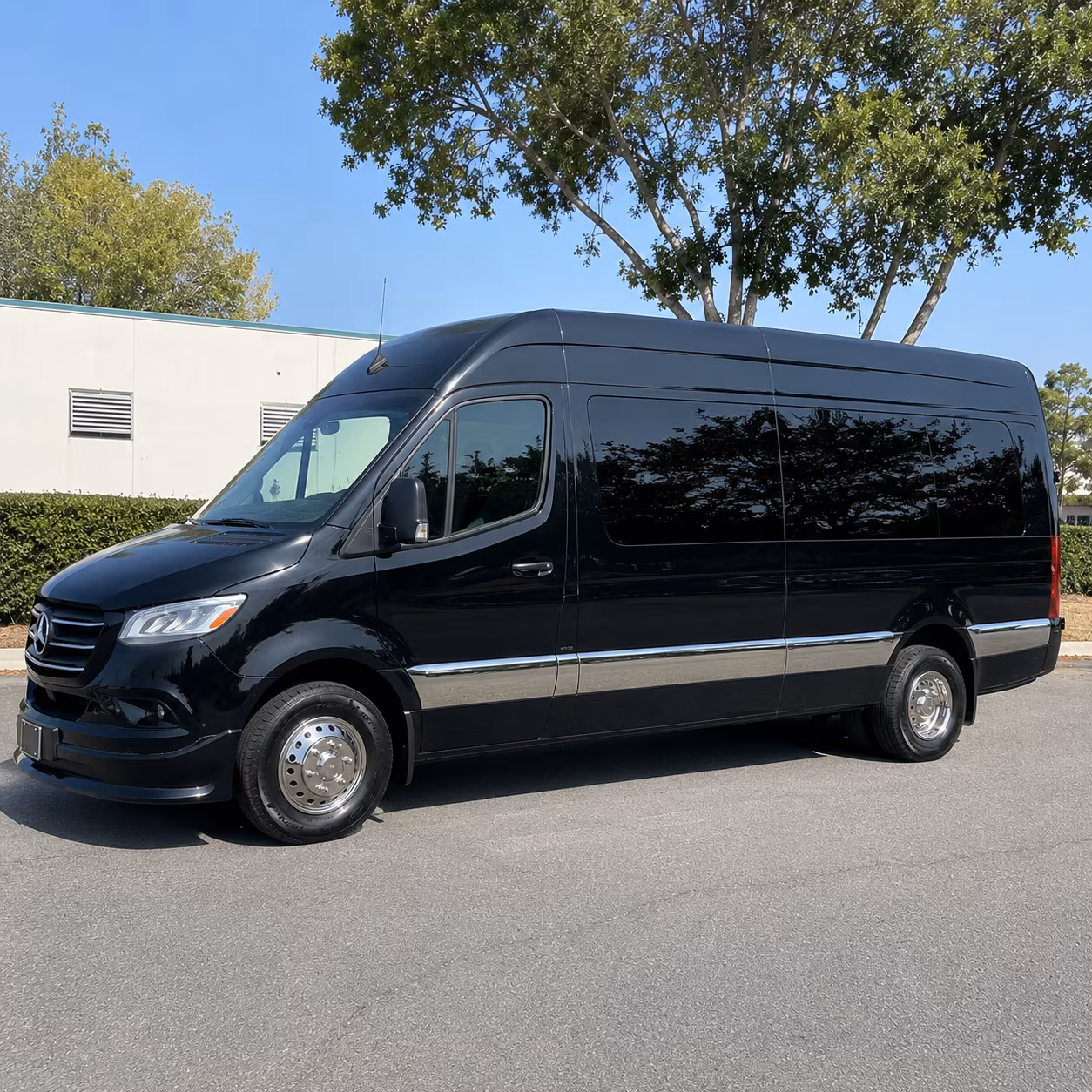 pearland 8 passenger sprinter van